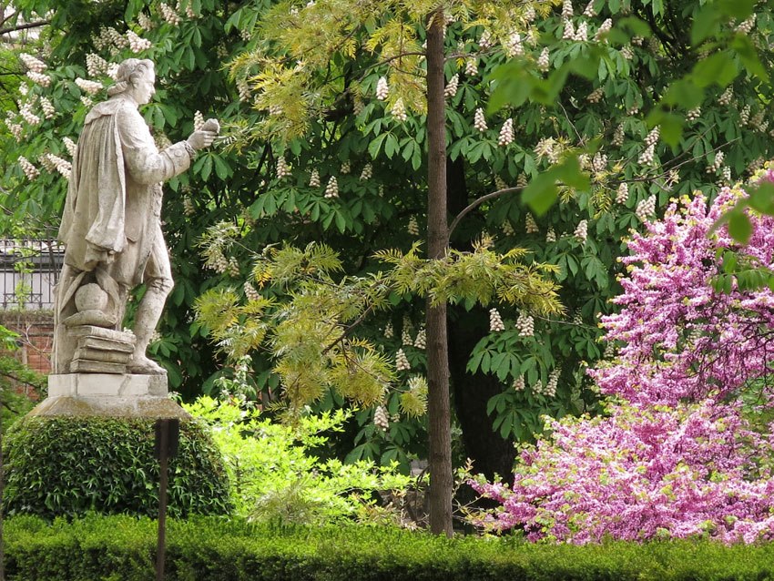 Botanischer Garten von Madrid