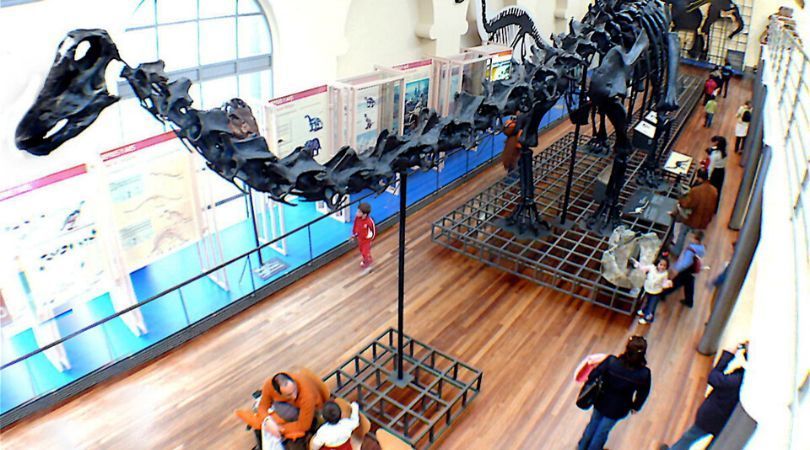 Museen in Madrid: Nationales Museum für Naturwissenschaften