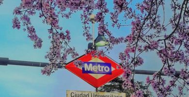 Listado Completo de Todas Las Universidades Públicas y Privadas en Madrid